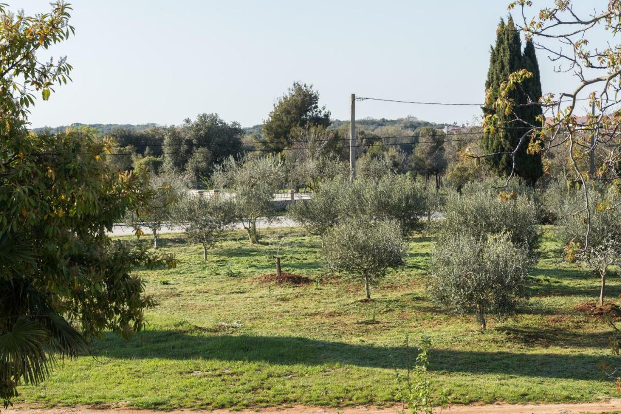 Studio Andrea Ρόβινι Εξωτερικό φωτογραφία
